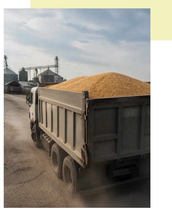 Перевозка сельхозпродукции навалом в Апшеронск по цене от 3074 р. | Агросервис-Пшр